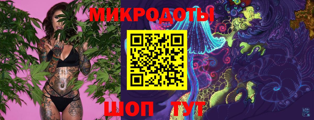 Сунжа  Галлюциногенные грибы Psilocybine cubensis  Вход с VPN 