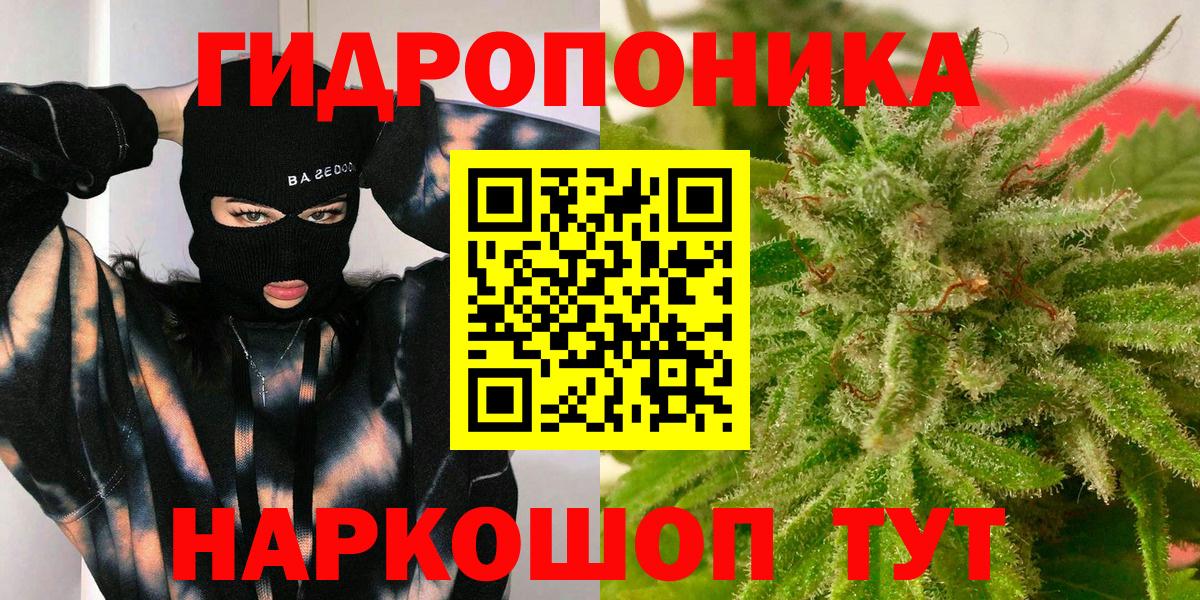Шишки марихуана VHQ Сунжа